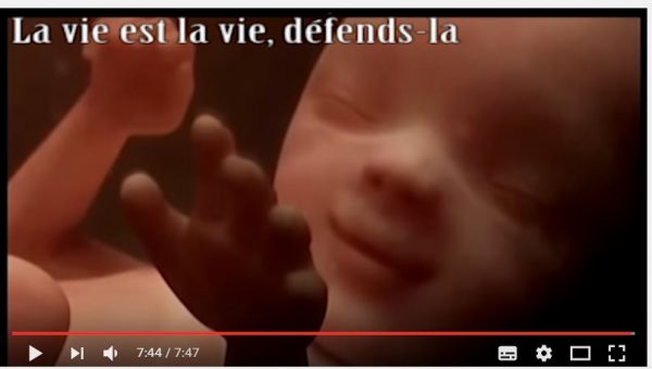 Gilles, un Youtubeur pro-vie à suivre ! dans le ventre de la maman