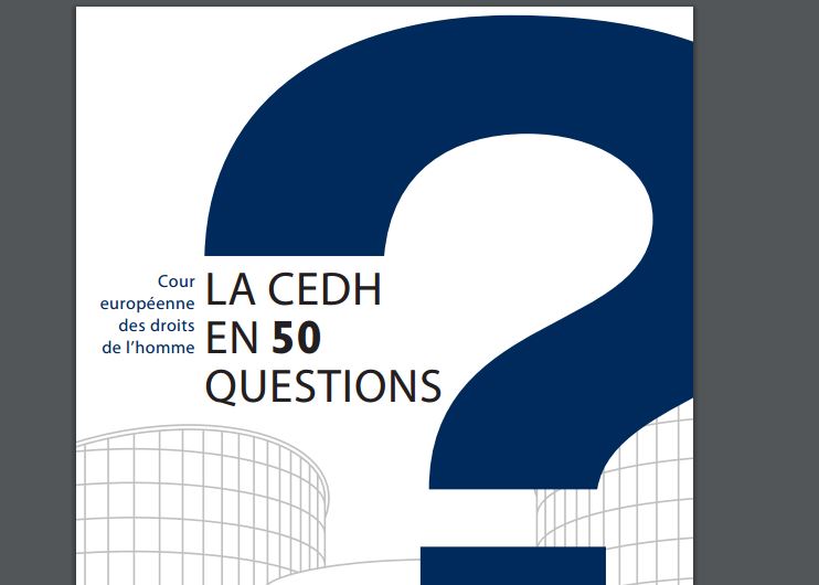 Nombre De Condamnation De La France Par La Cedh