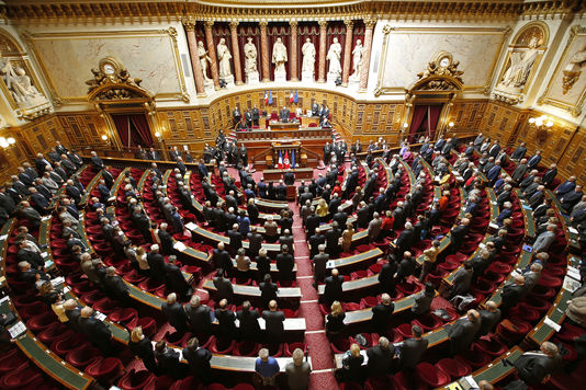 France : rejet d’un texte visant à constitutionnaliser l’avortement