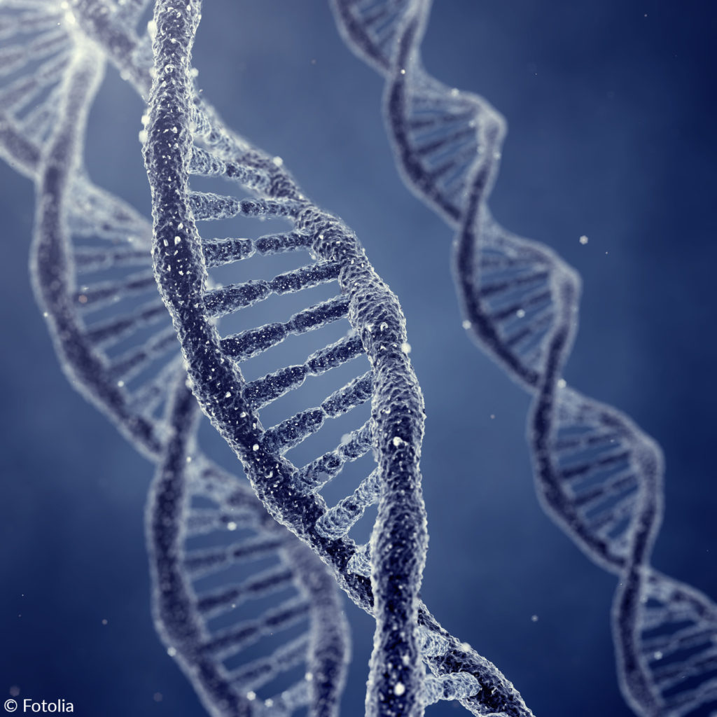 France : le Sénat adopte la proposition de loi autorisant les examens génétiques post-mortem